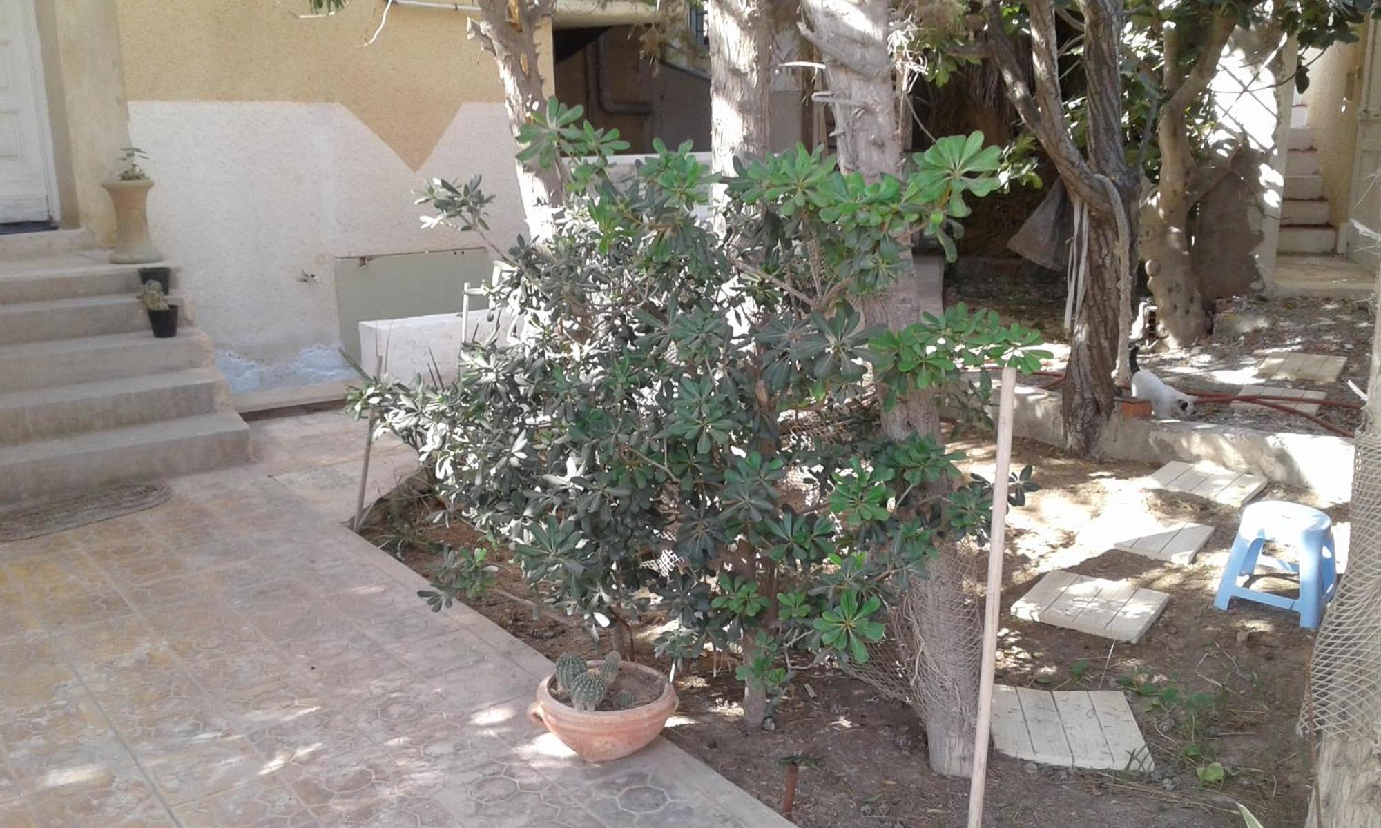 Duplex Pied Dans L'Eau Avec Magnifique Vue Sur Mer Monastir Exterior foto